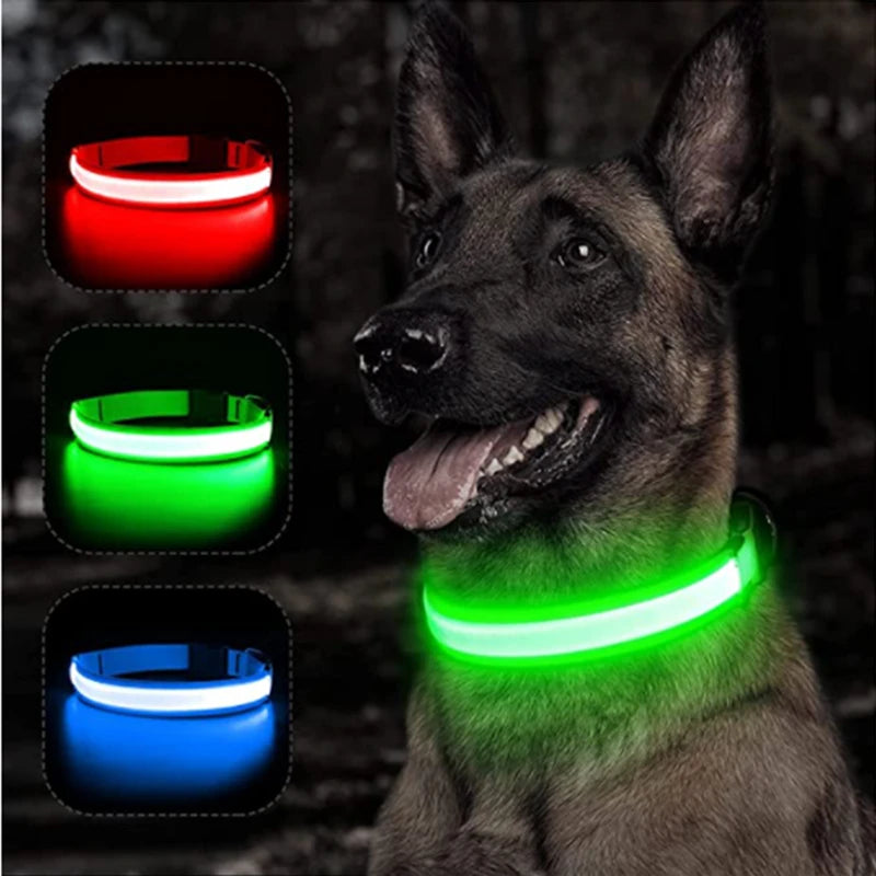 LED Adjustable Glowing Rechargeable Luminous Dog Collar
