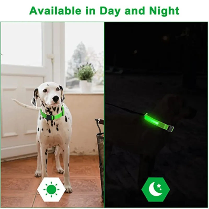 LED Adjustable Glowing Rechargeable Luminous Dog Collar